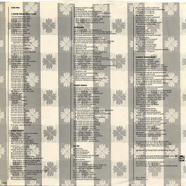 The Waitresses - Wasn't Tomorrow Wonderful?