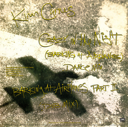 Crazy In The Night (Barking At Airplanes) - secondary
