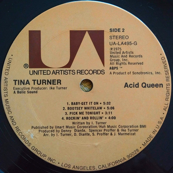 Tina Turner - Acid Queen
