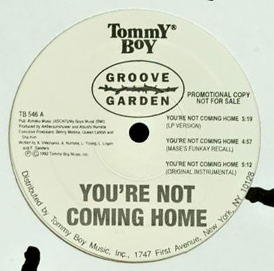 12" Single: Groove Garden - You're Not Coming Home