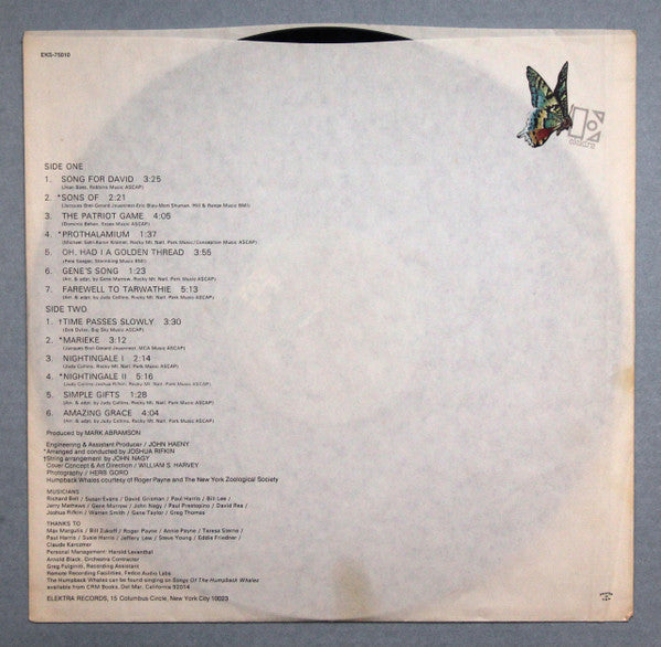 Whales And Nightingales - secondary