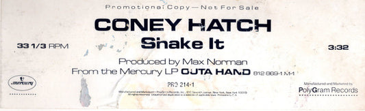 Shake It - secondary