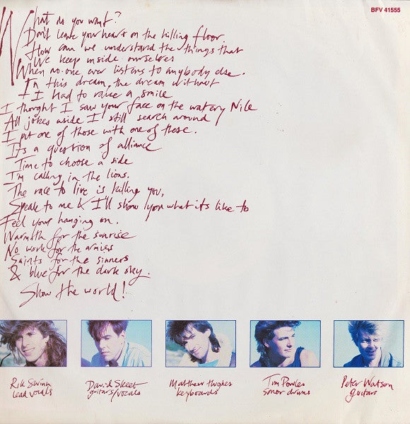 The Venetians - Calling In The Lions