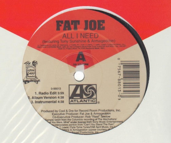 12" Single: Fat Joe - All I Need / Take A Look At My Life