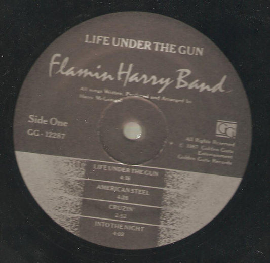Life Under The Gun - secondary