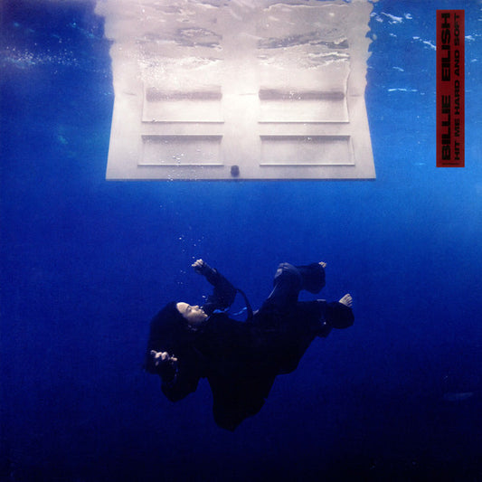 Hit Me Hard And Soft - secondary