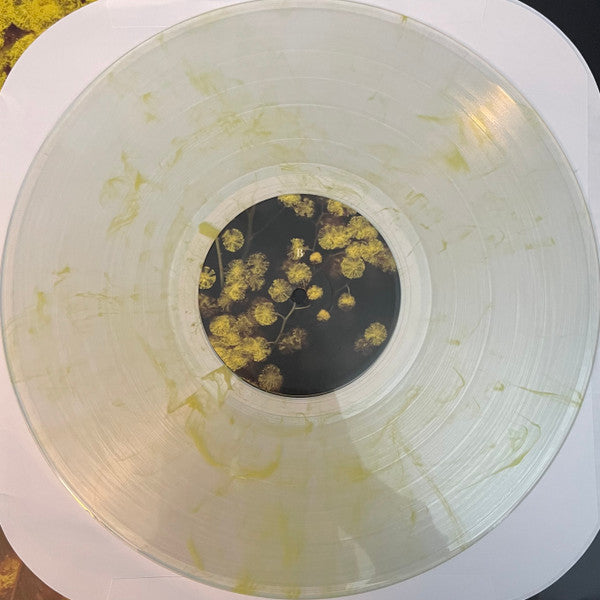 Eyelid Movies - secondary