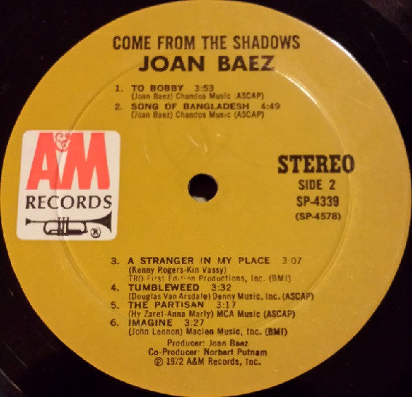 Come From The Shadows - secondary