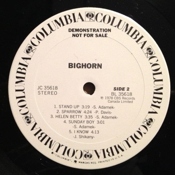 Bighorn - secondary