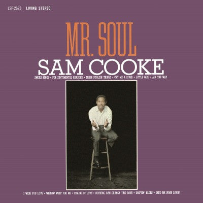 Mr. Soul - primary