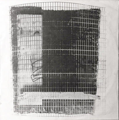 Larry Carlton - secondary