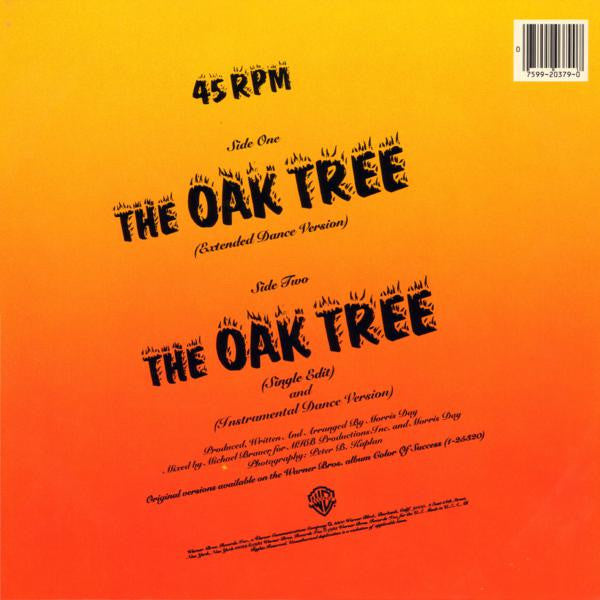 The Oak Tree - secondary