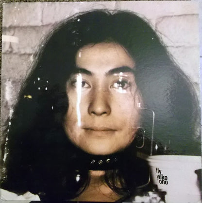 Fly - primary