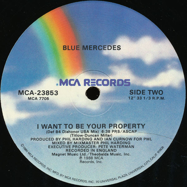I Want To Be Your Property - secondary