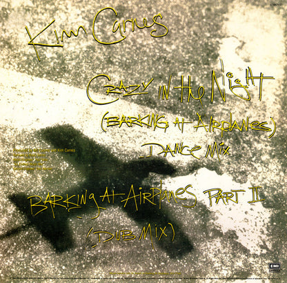 Crazy In The Night (Barking At Airplanes) - secondary