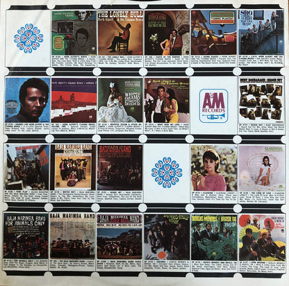 Look Around - secondary