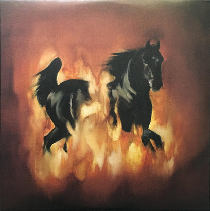 The Besnard Lakes Are The Dark Horse - primary