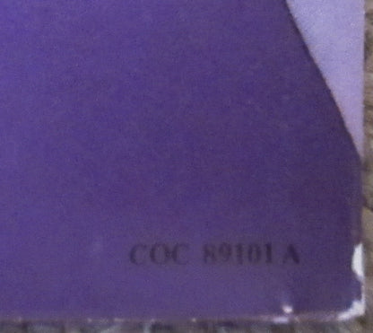 The Rolling Stones - Love You Live