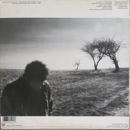 Corey Hart - Fields Of Fire