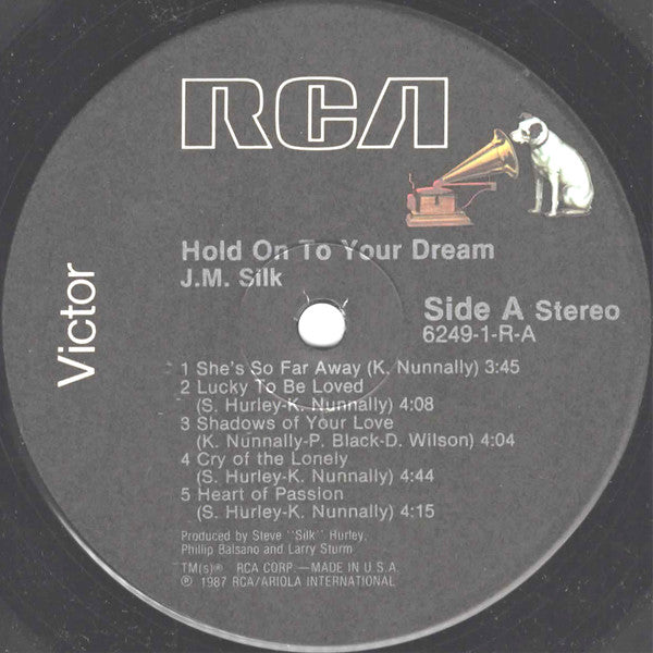 Hold On To Your Dream - secondary