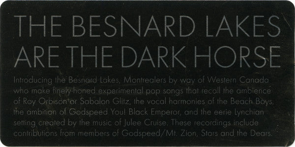 The Besnard Lakes Are The Dark Horse - secondary