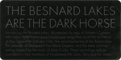 The Besnard Lakes Are The Dark Horse - secondary