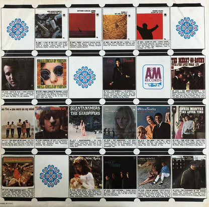 Look Around - secondary