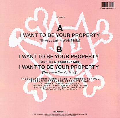 I Want To Be Your Property (DEF B4 Dishonour Mix) - secondary