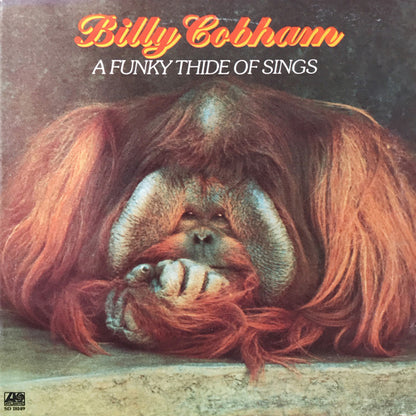 A Funky Thide Of Sings - primary