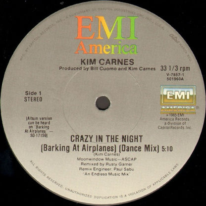 Crazy In The Night (Barking At Airplanes) - secondary