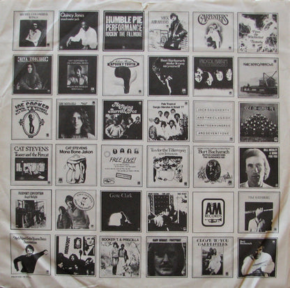 Tea For The Tillerman - secondary