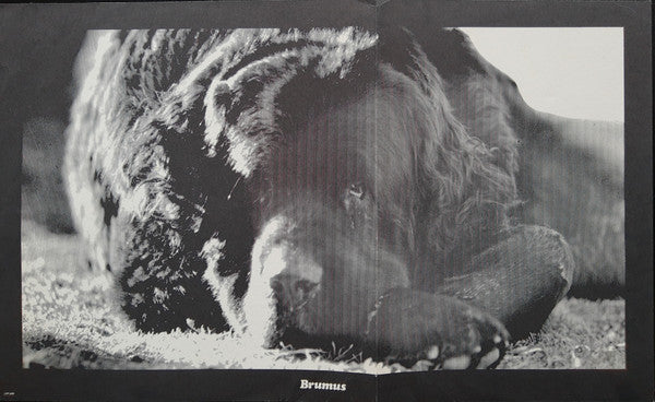 Crown Of Creation - secondary