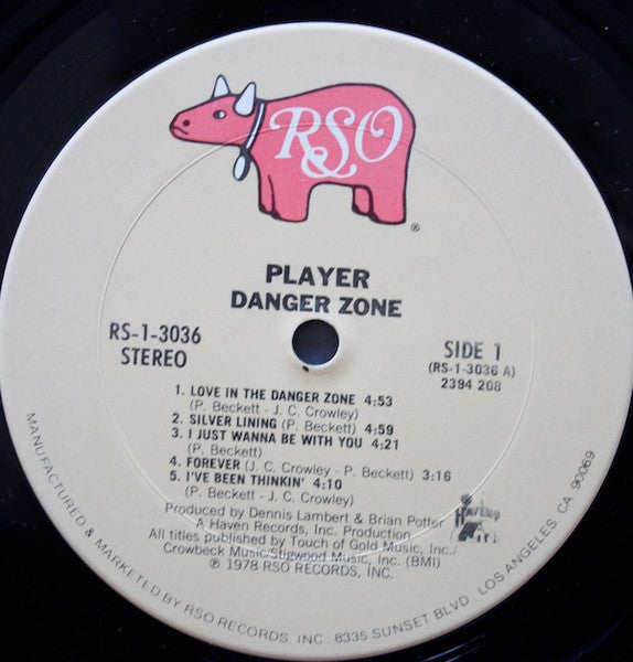 Player (4) - Danger Zone