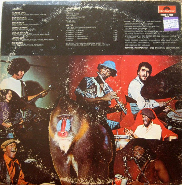 Mandrill - secondary