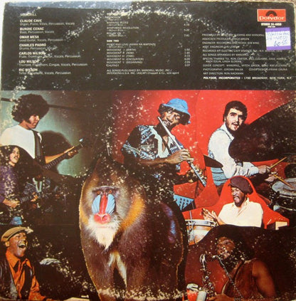 Mandrill - secondary