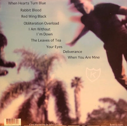 Before The Dream Faded... - secondary