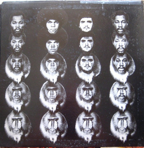 Mandrill - secondary