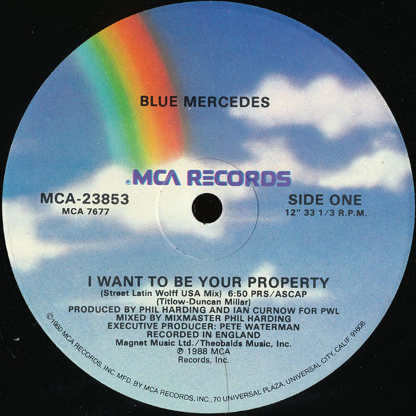 I Want To Be Your Property - secondary