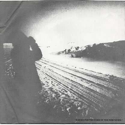 Porcupine - secondary