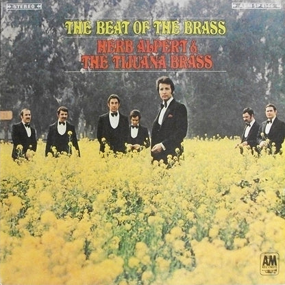 The Beat Of The Brass - primary