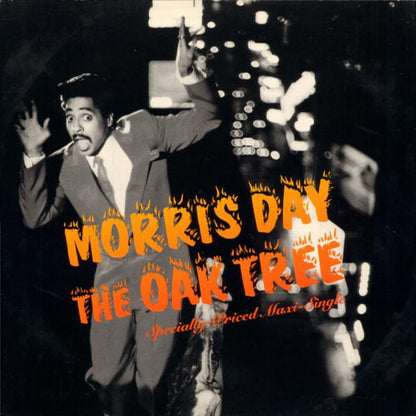The Oak Tree - primary