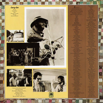 The Ozark Mountain Daredevils - The Ozark Mountain Daredevils