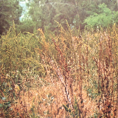 Smackwater Jack - secondary