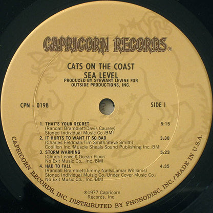 Cats On The Coast - secondary
