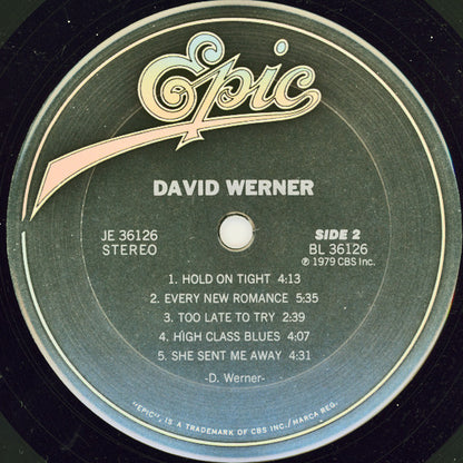 David Werner - secondary