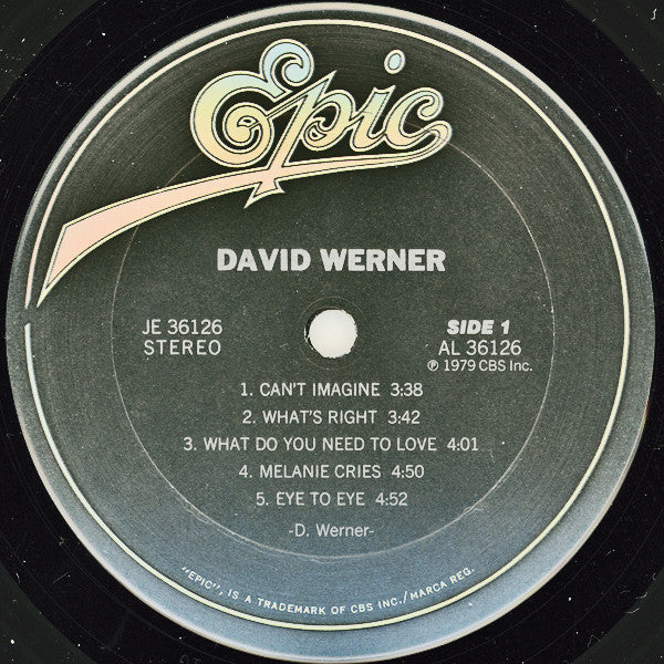 David Werner - secondary