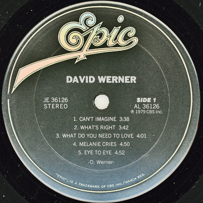 David Werner - secondary