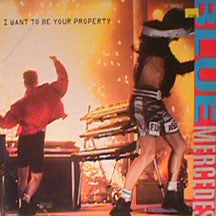 I Want To Be Your Property - primary