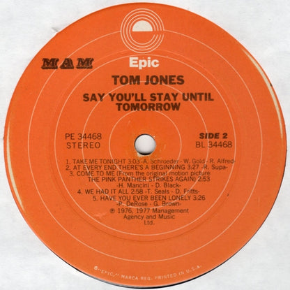 Say You'll Stay Until Tomorrow - secondary