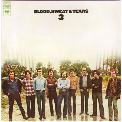 Blood, Sweat And Tears 3 - primary